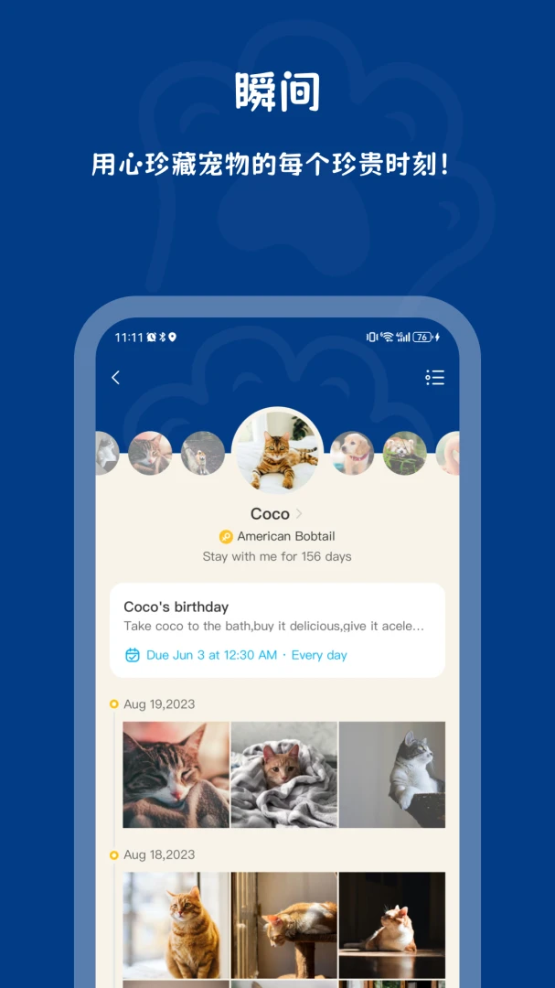 PawView��ͼ