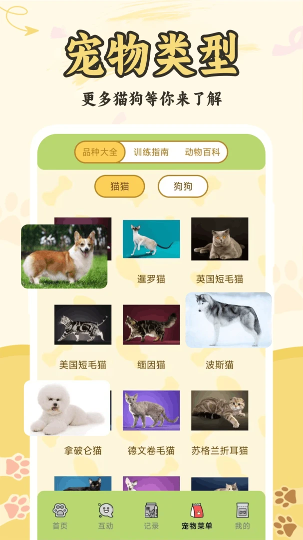 è���˽�����������ͼ