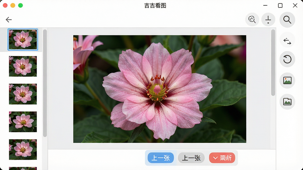 一张软件界面特写图,画面主体为