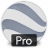 �ȸ����רҵ��(Google Earth Pro)