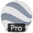 �ȸ����רҵ��(Google Earth Pro)��ͼ