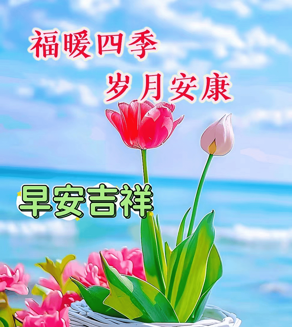 ÿ���ʺ��ﾫ�� ��׿�� ʹ�ý���