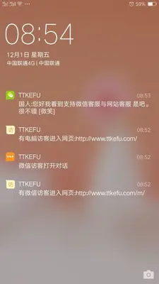 TTKEFU网站在线客服系统截图2
