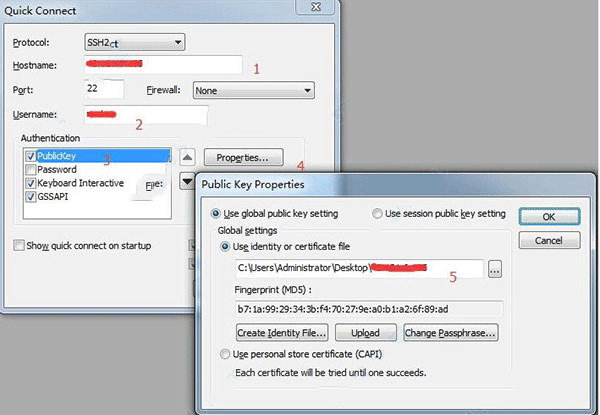 SecureCRT (SecureCRT终端仿真软件)截图