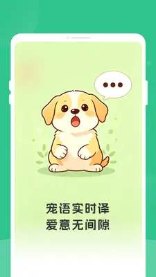 ��è�������ͼ0