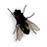 Fly on desktop图标