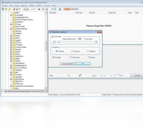 Graphics Converter Pro �������� ����չʾ