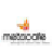 Metacafe��Ƶ������(Metacafe Video Downloader)��ͼ