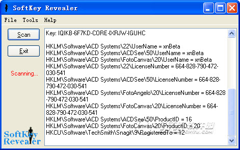 SoftKey Revealer(����鿴��)��ͼ