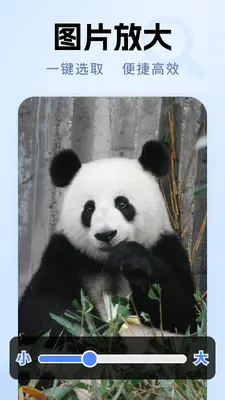 �߱������Ŵ󾵽�ͼ1