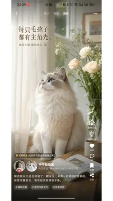 ����С�۽�ͼ1
