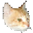 �������ƴ����ѯ����ͼ