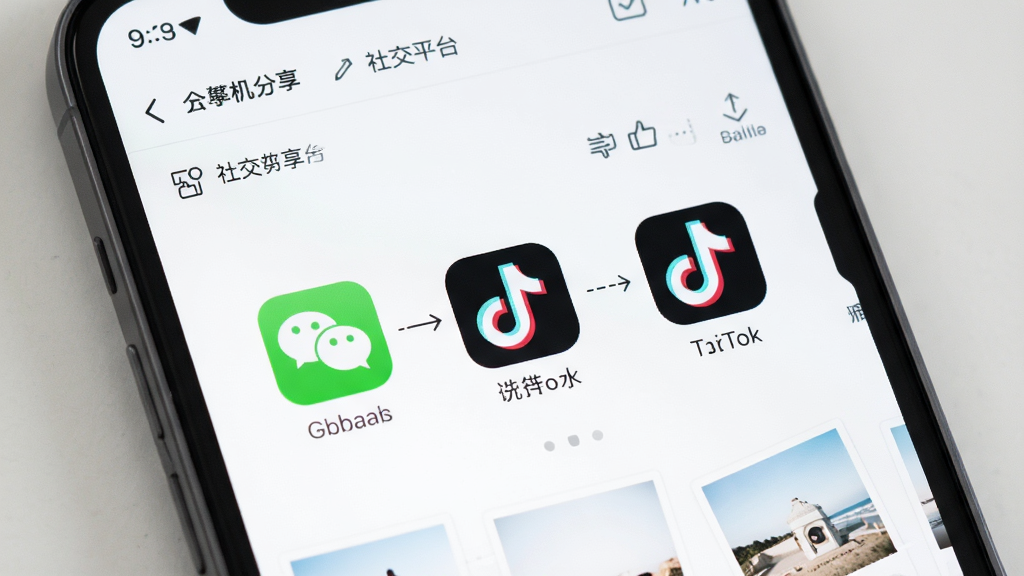 ���������Ʒ�������棬����չʾ��Ƭ�������罻ƽ̨�����̣�������΢�š�������ͼ�꣬��������죬ϸ�����������廭�ʣ��ɾ��޶���Ԫ��