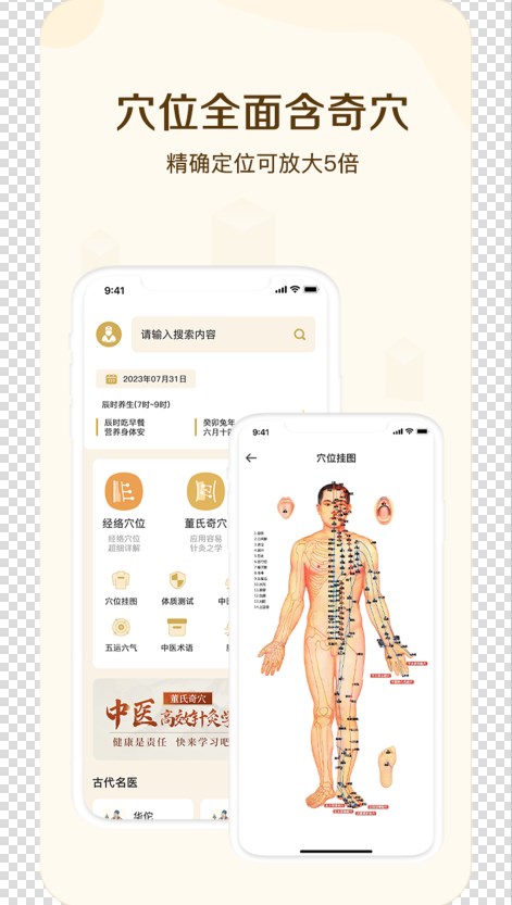 穴位图谱大全 安卓版 经络穴位图 手机界面