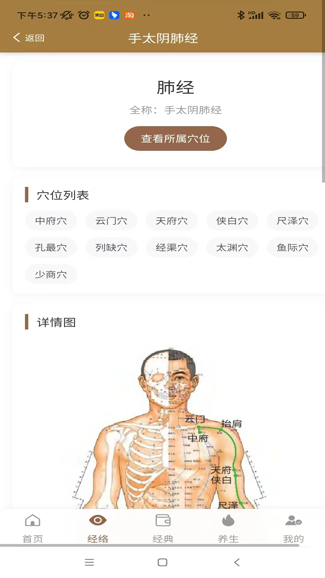 穴位图谱大全截图