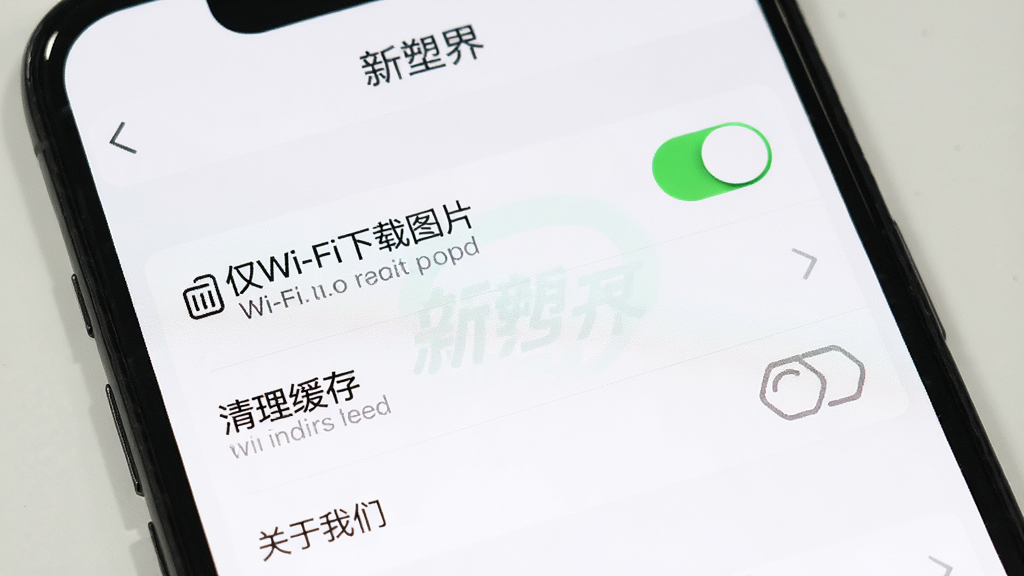 �ֻ���Ļ��ʾ�����ܽ硱Ӧ������ҳ�棬ҳ���а�������Wi-Fi����ͼƬ�����������桱���������ǡ���ѡ�����Ϊ��ɫ������࣬ϸ��ͻ�����ذ�ť������˵���������������޶���Ԫ��