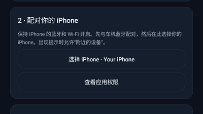 DiPlay车机版截图2