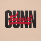 ���Samurai GUNN�������°�
